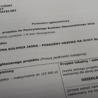 Pszczyński Budżet Obywatelski 2020